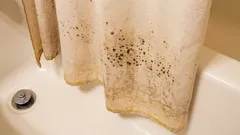 Plíseň na sprchovém závěsu: 30minutový trik, který ho opravdu vyčistí