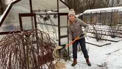 Po zimě je trávník tvrdý jako beton: jak ho jednoduchým trikem znovu nechat dýchat